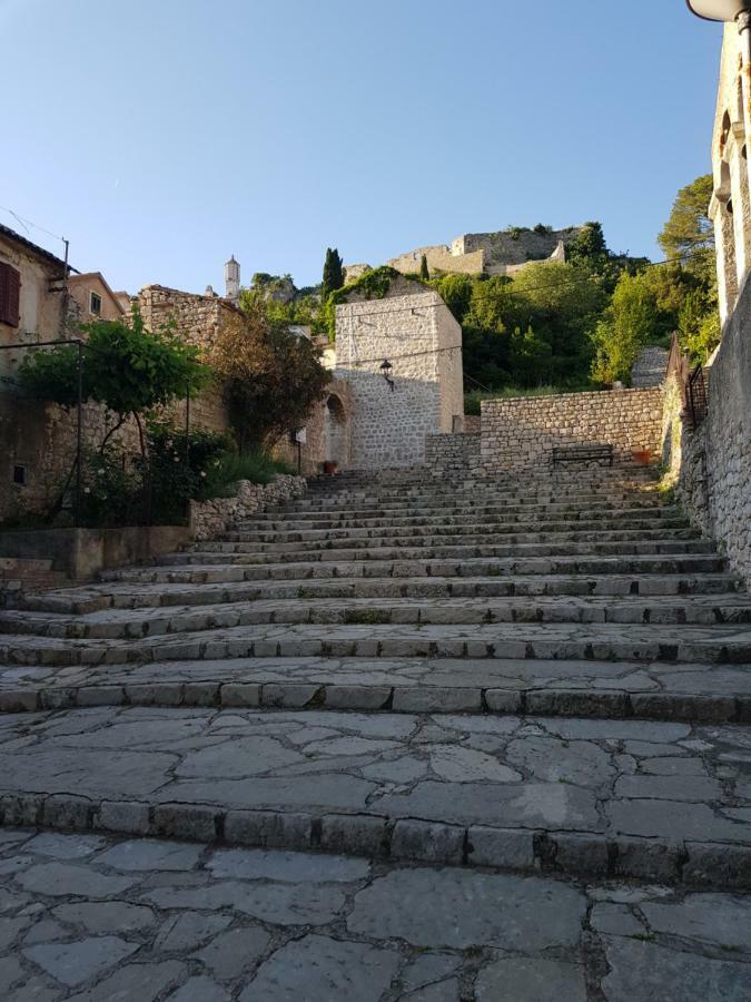 Villa Eximia Novigrad Novigrad  Kültér fotó